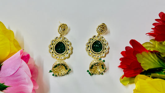 Earrings ph20